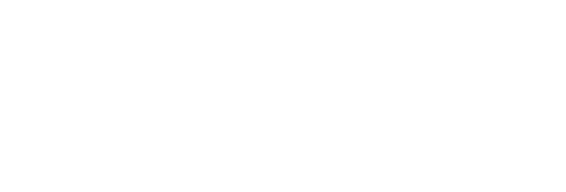 Custom Insurance Solutions - Logo White 800